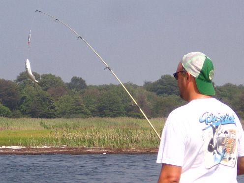 Snapper Fishing on Long Island